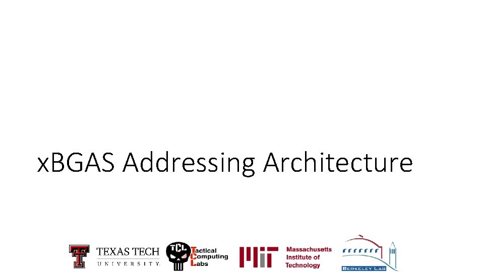 x. BGAS Addressing Architecture 