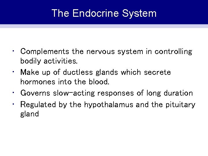The Endocrine System • Complements the nervous system in controlling bodily activities. • Make