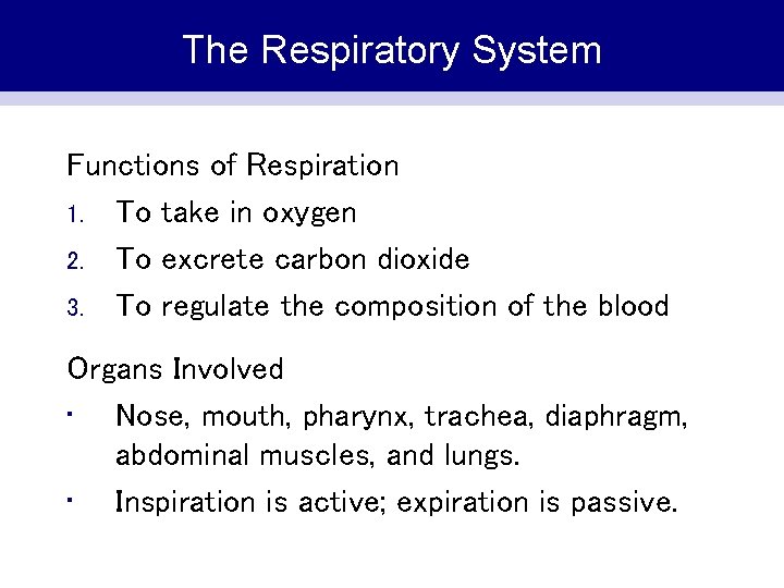 The Respiratory System Functions of Respiration 1. To take in oxygen 2. To excrete