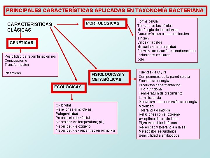 PRINCIPALES CARACTERÍSTICAS APLICADAS EN TAXONOMÍA BACTERIANA MORFOLÓGICAS CARACTERÍSTICAS CLÁSICAS GENÉTICAS Posibilidad de recombinación por