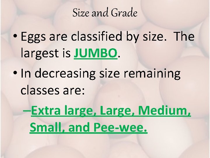 Size and Grade • Eggs are classified by size. The largest is JUMBO. •