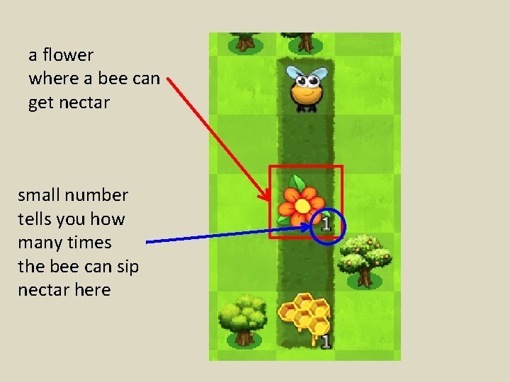 a flower where a bee can get nectar small number tells you how many