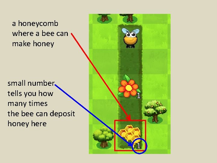 a honeycomb where a bee can make honey small number tells you how many