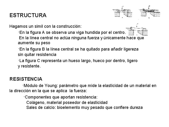 ESTRUCTURA Hagamos un simil con la construcción: ·En la figura A se observa una