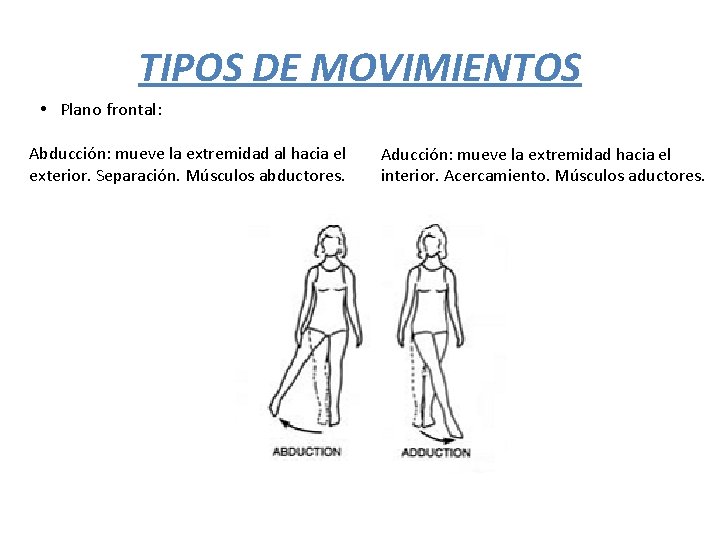 TIPOS DE MOVIMIENTOS • Plano frontal: Abducción: mueve la extremidad al hacia el exterior.