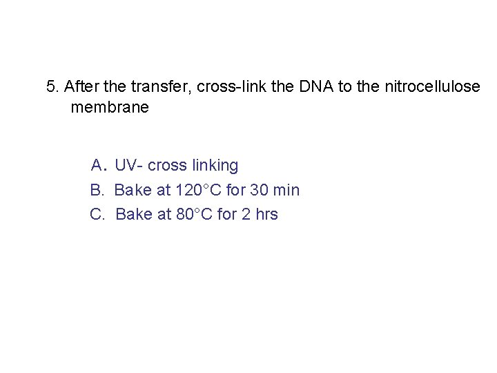 5. After the transfer, cross-link the DNA to the nitrocellulose membrane A. UV- cross