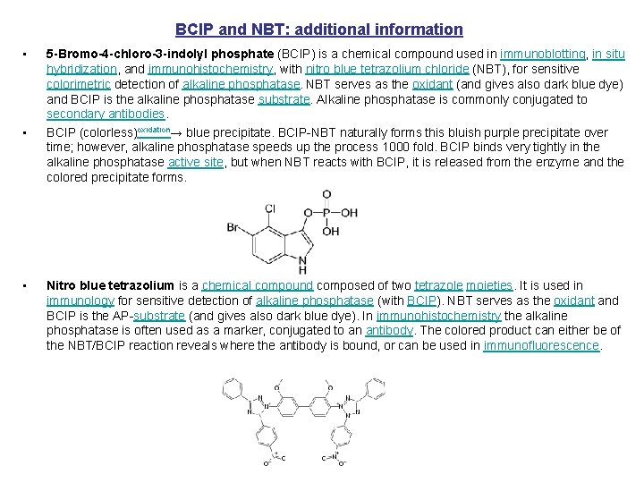 BCIP and NBT: additional information • • • 5 -Bromo-4 -chloro-3 -indolyl phosphate (BCIP)