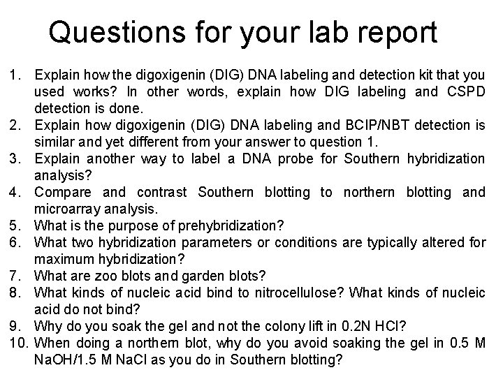 Questions for your lab report 1. Explain how the digoxigenin (DIG) DNA labeling and