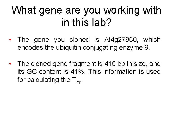 What gene are you working with in this lab? • The gene you cloned