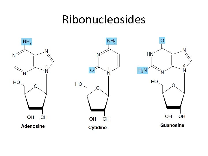 Ribonucleosides 