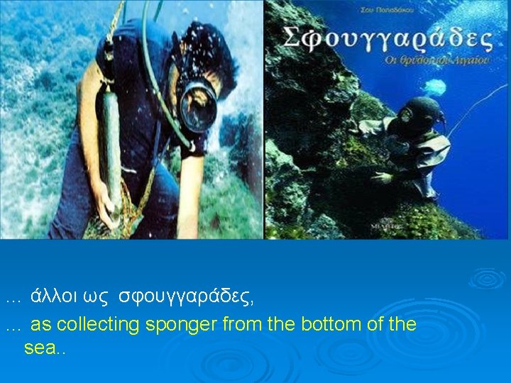 … άλλοι ως σφουγγαράδες, … as collecting sponger from the bottom of the sea.