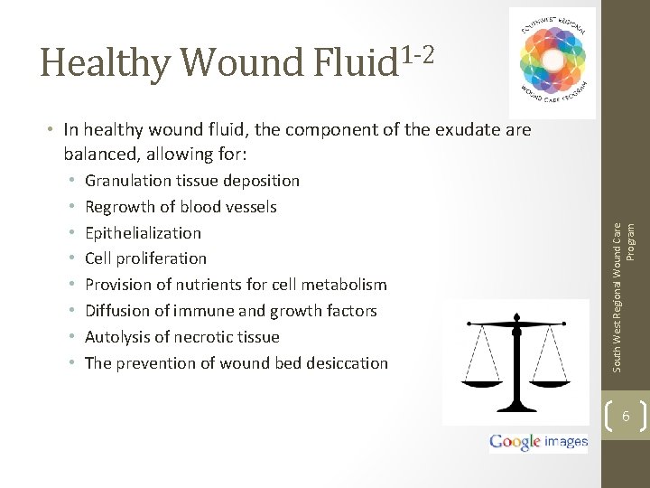 Healthy Wound Fluid 1 -2 • • Granulation tissue deposition Regrowth of blood vessels