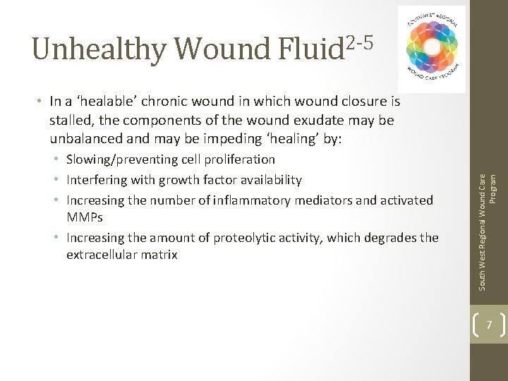 Unhealthy Wound Fluid 2 -5 • Slowing/preventing cell proliferation • Interfering with growth factor
