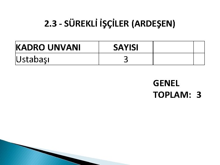 2. 3 - SÜREKLİ İŞÇİLER (ARDEŞEN) KADRO UNVANI Ustabaşı SAYISI 3 GENEL TOPLAM: 3