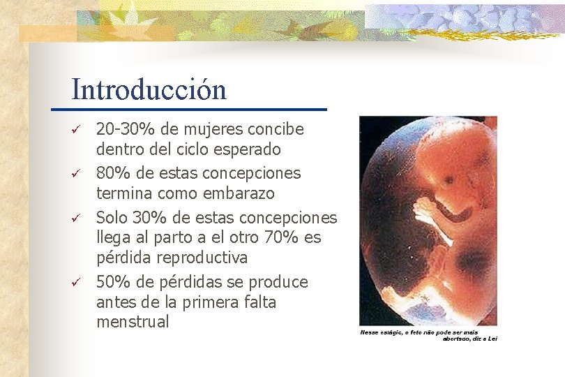 Introducción ü ü 20 -30% de mujeres concibe dentro del ciclo esperado 80% de