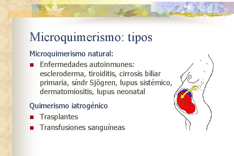 Microquimerismo: tipos Microquimerismo natural: n Enfermedades autoinmunes: escleroderma, tiroiditis, cirrosis biliar primaria, síndr Sjögren,