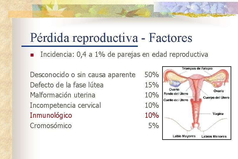 Pérdida reproductiva - Factores n Incidencia: 0, 4 a 1% de parejas en edad