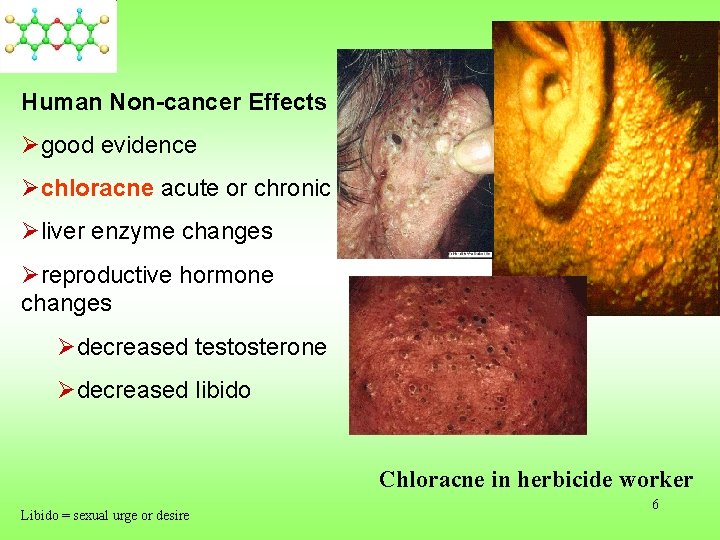 Human Non-cancer Effects Øgood evidence Øchloracne acute or chronic Øliver enzyme changes Øreproductive hormone