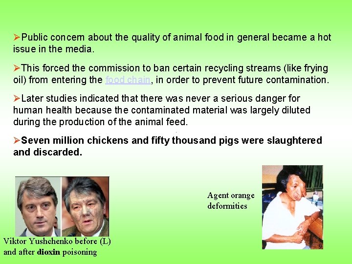 ØPublic concern about the quality of animal food in general became a hot issue