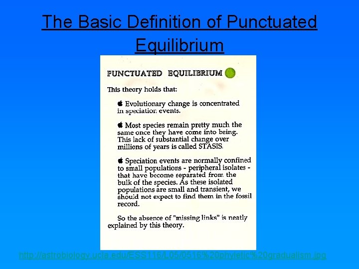 The Basic Definition of Punctuated Equilibrium http: //astrobiology. ucla. edu/ESS 116/L 05/0516%20 phyletic%20 gradualism.