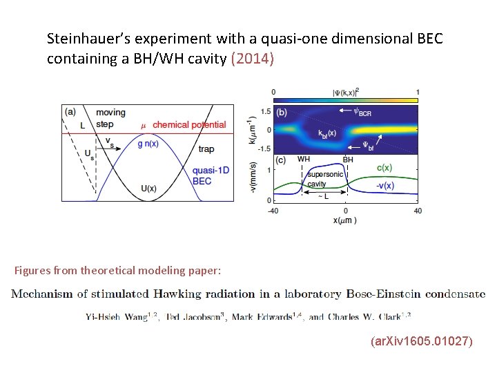 Steinhauer’s experiment with a quasi-one dimensional BEC containing a BH/WH cavity (2014) Figures from