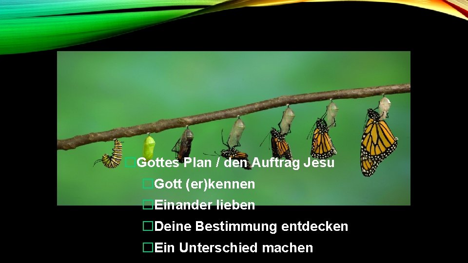 �Gottes Plan / den Auftrag Jesu �Gott (er)kennen �Einander lieben �Deine Bestimmung entdecken �Ein