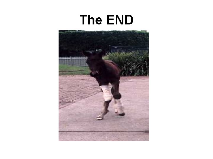 The END 