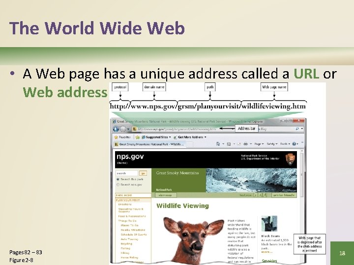 The World Wide Web • A Web page has a unique address called a