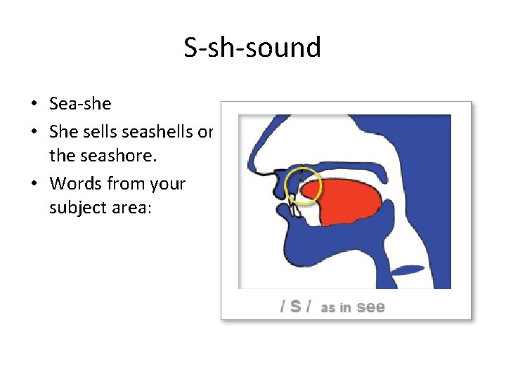 S-sh-sound • Sea-she • She sells seashells on the seashore. • Words from your