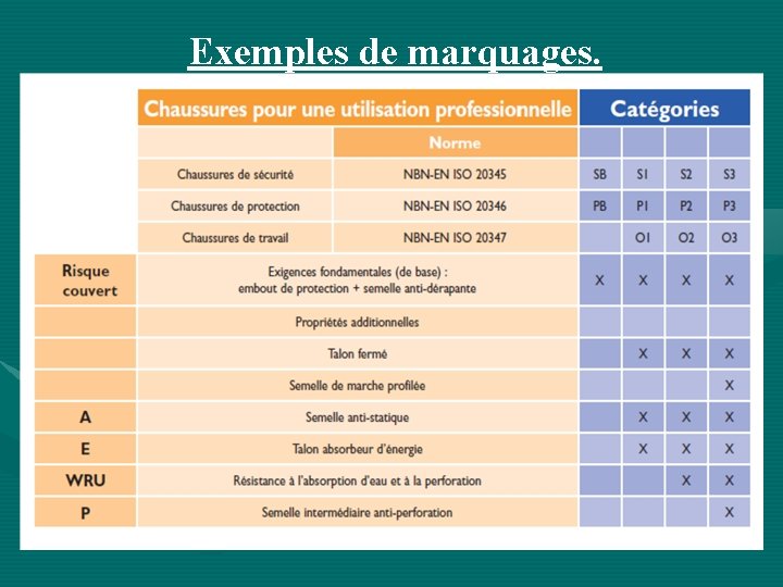 Exemples de marquages. 