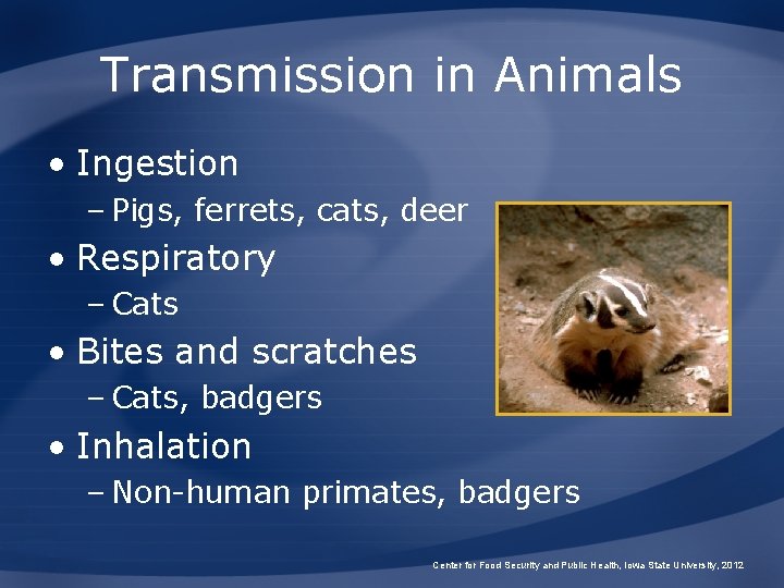 Transmission in Animals • Ingestion – Pigs, ferrets, cats, deer • Respiratory – Cats