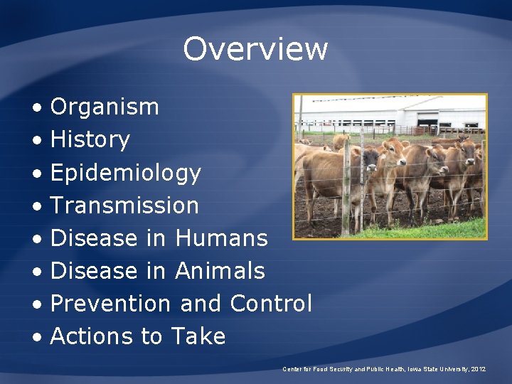 Overview • Organism • History • Epidemiology • Transmission • Disease in Humans •