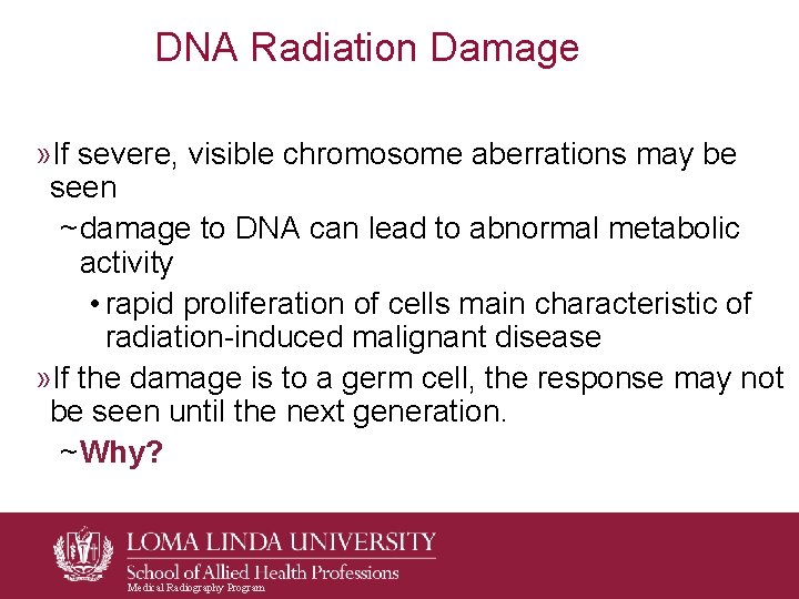 DNA Radiation Damage » If severe, visible chromosome aberrations may be seen ~ damage DNA Radiation Damage » If severe, visible chromosome aberrations may be seen ~ damage