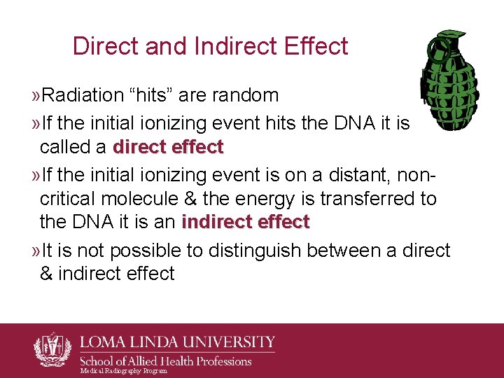 Direct and Indirect Effect » Radiation “hits” are random » If the initial ionizing Direct and Indirect Effect » Radiation “hits” are random » If the initial ionizing