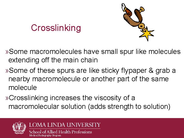 Crosslinking » Some macromolecules have small spur like molecules extending off the main chain Crosslinking » Some macromolecules have small spur like molecules extending off the main chain