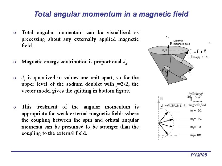 Total angular momentum in a magnetic field o Total angular momentum can be visuallised