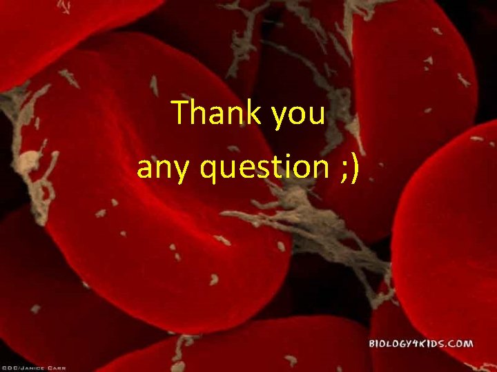 Thank you any question ; ) 