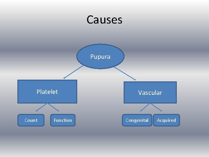 Causes Pupura Platelet Count Function Vascular Congenital Acquired 