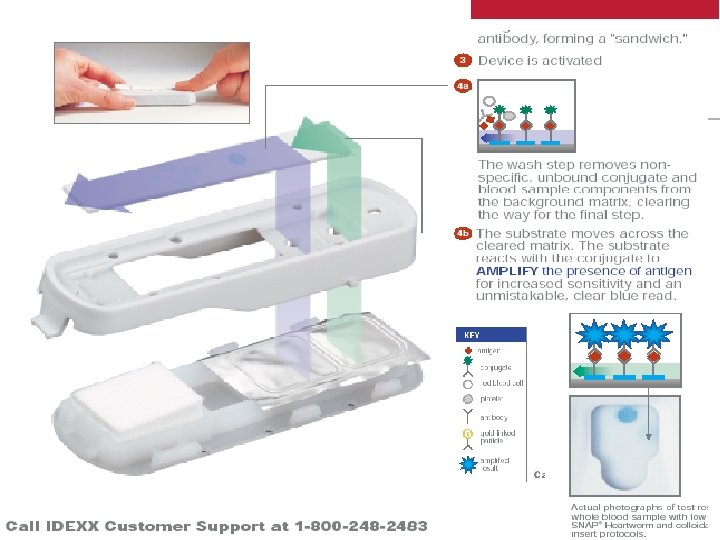 10 © 2005 IDEXX LABORATORIES, INC. | Proprietary and Confidential | 23 -Nov-20 