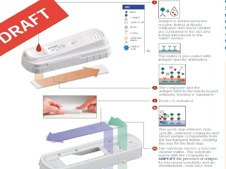 9 © 2005 IDEXX LABORATORIES, INC. | Proprietary and Confidential | 23 -Nov-20 