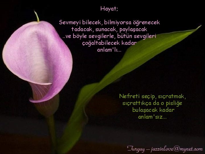 Hayat; Sevmeyi bilecek, bilmiyorsa öğrenecek tadacak, sunacak, paylaşacak. . ve böyle sevgilerle, bütün sevgileri