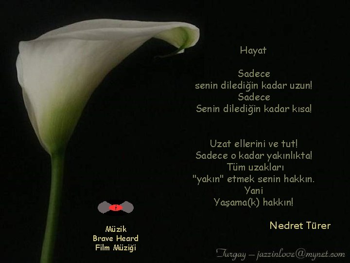 Hayat Sadece senin dilediğin kadar uzun! Sadece Senin dilediğin kadar kısa! Uzat ellerini ve