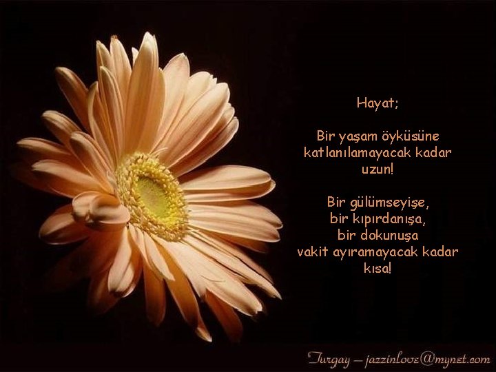 Hayat; Bir yaşam öyküsüne katlanılamayacak kadar uzun! Bir gülümseyişe, bir kıpırdanışa, bir dokunuşa vakit