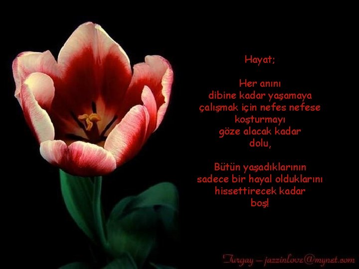 Hayat; Her anını dibine kadar yaşamaya çalışmak için nefese koşturmayı göze alacak kadar dolu,