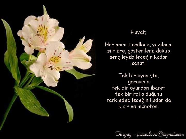 Hayat; Her anını tuvallere, yazılara, şiirlere, gösterilere döküp sergileyebileceğin kadar sanat! Tek bir uyanışta,