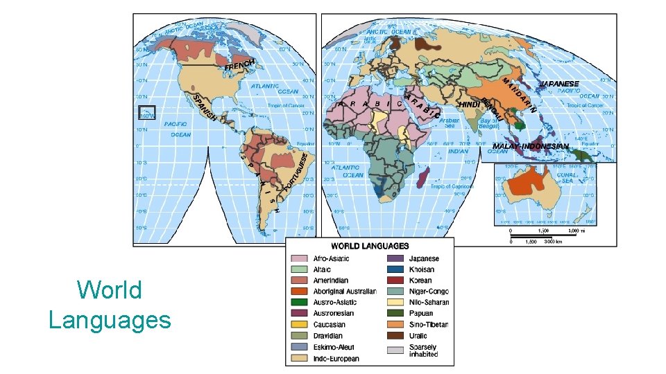 World Languages 