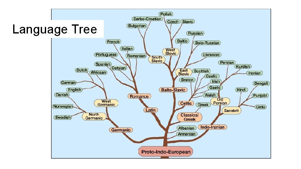 Language Tree 