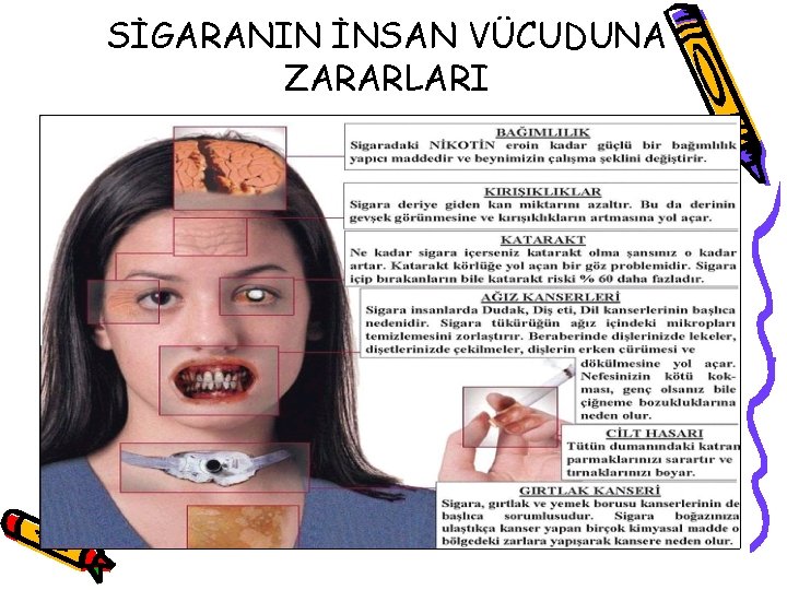 SİGARANIN İNSAN VÜCUDUNA ZARARLARI 