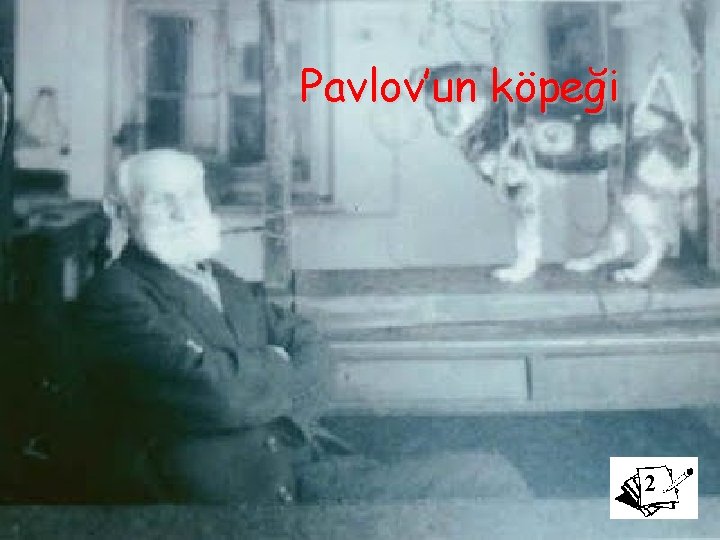 Pavlov’un köpeği 2 