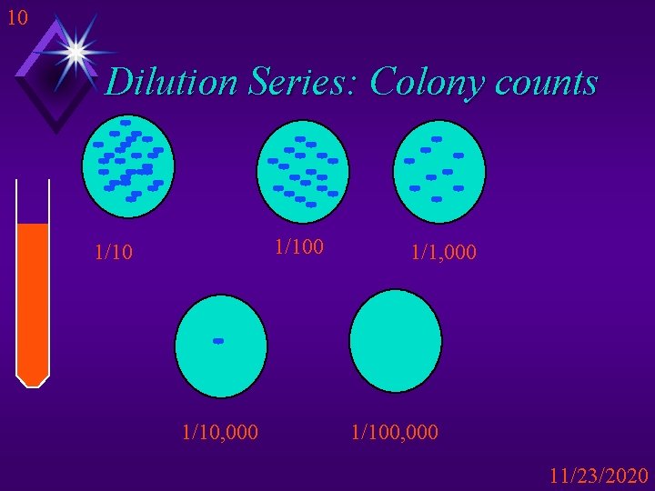 10 Dilution Series: Colony counts 1/100 1/10, 000 1/100, 000 11/23/2020 